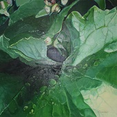 会員・鹿又　保子[Green Leaves Raindrops]